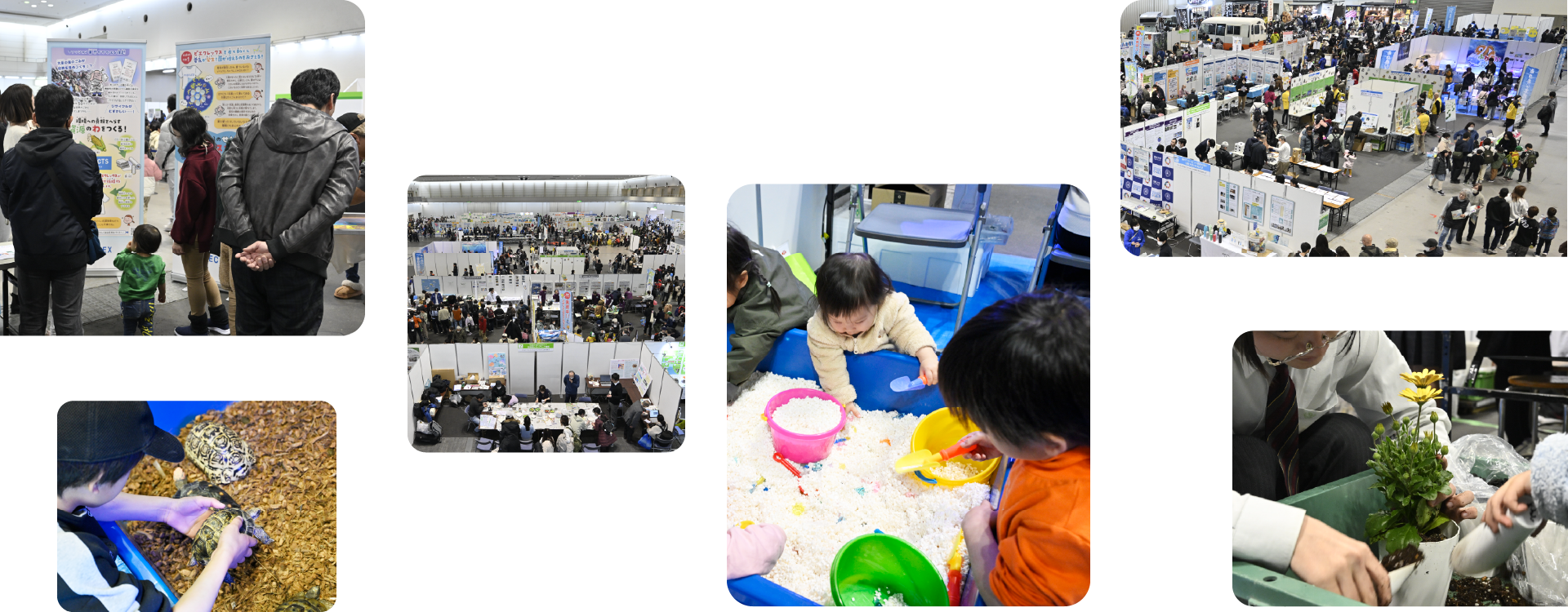 前回のイベントや会場の様子